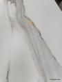 IMG-20250424-WA0024.jpg