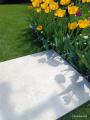 IMG-20250428-WA0010.jpg