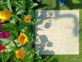 IMG-20250428-WA0009.jpg
