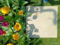 IMG-20250428-WA0008-001.jpg