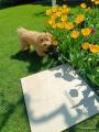IMG-20250428-WA0002.jpg