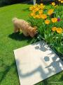 IMG-20250428-WA0001.jpg
