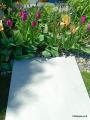 IMG-20250428-WA0029.jpg