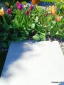 IMG-20250428-WA0034.jpg