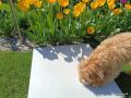 IMG-20250428-WA0040.jpg