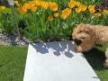 IMG-20250428-WA0041.jpg