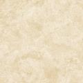 Valencia Beige 60x60x2.jpg