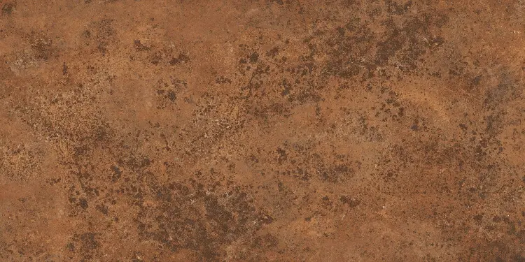 66490_1_2717871.jpg