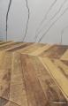 IMG-20250528-WA0068.jpg