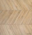 IMG-20250528-WA0022.jpg