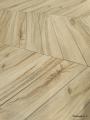 IMG-20250529-WA0012.jpg
