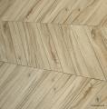 IMG-20250529-WA0006.jpg