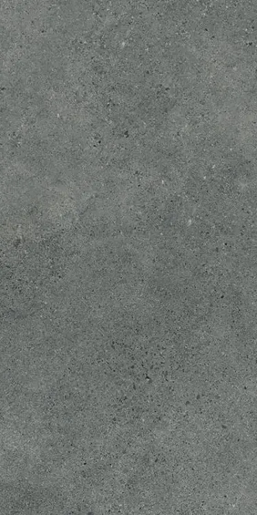 authority-graphite-str-plyta-tarasowa-rekt-mat-20mm-59-5x119-5-gat-1-5900139000146.jpg