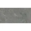 paradyz-my-way-authority-20-graphite-plyta-tarasowa-595x1195-g1 (1).webp