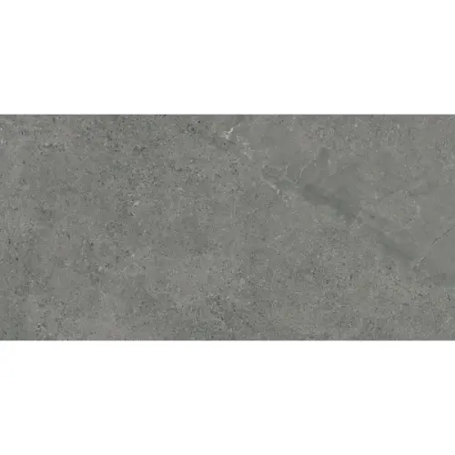 paradyz-my-way-authority-20-graphite-plyta-tarasowa-595x1195-g1 (2).webp