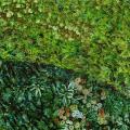 DEK 60x60 MURAL BUXUS SUGAR A 1z8 750px.jpg