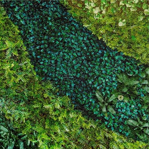 DEK 60x60 MURAL BUXUS SUGAR B 2z8 750px.jpg