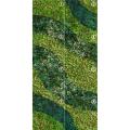 Mural BUXUS 120x240 całość 800px.jpg