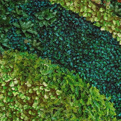 DEK 60x60 MURAL BUXUS SUGAR G 7z8 750px.jpg
