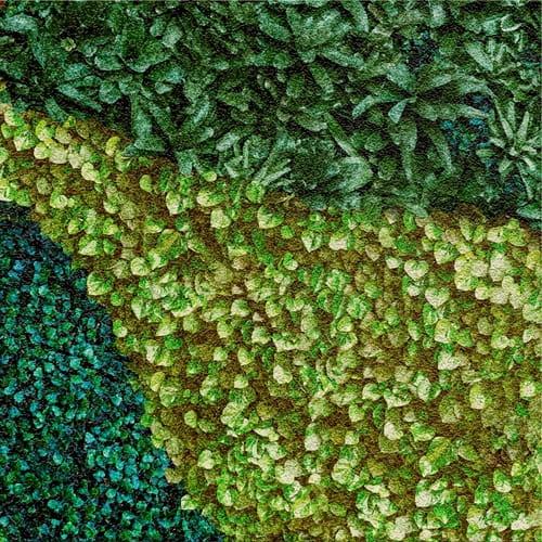 DEK 60x60 MURAL BUXUS SUGAR H 8z8 750px.jpg