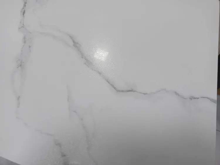 429105293_7147040302012040_2346951556617982537_n.jpg