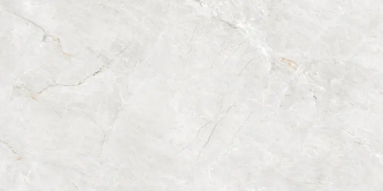 FORESTER BIANCO 60X120 MATT+CARVING.jpg