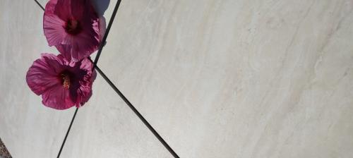 1631255313458 (1).jpg