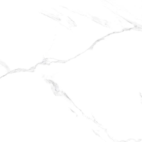 h2806h2806.jpg