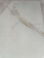 IMG-20250606-WA0038.jpg