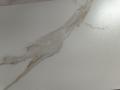IMG-20250606-WA0041.jpg