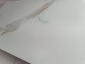IMG-20250606-WA0042.jpg