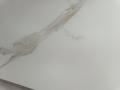 IMG-20250606-WA0043.jpg