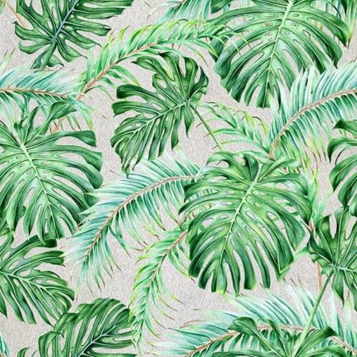 MURAL 60X60 Monstera Torino Str.jpg