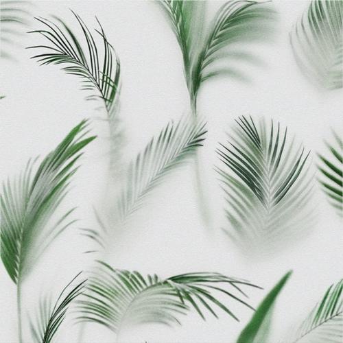 MURAL 60x60 SOFT PLAMS C SUGAR.jpg
