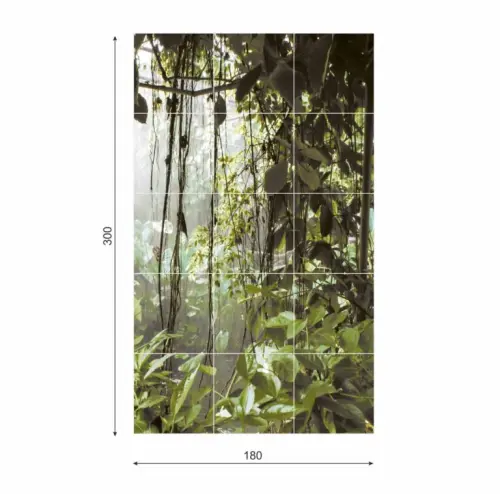 RAIN-FOREST-wym-300x180-od-ptawej-768x759.webp