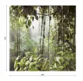 RAIN-FOREST-wym-300x300-1-768x759.webp