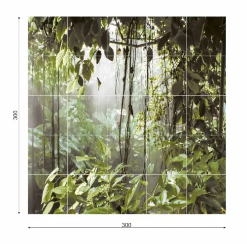 RAIN-FOREST-wym-300x300-1-768x759.webp