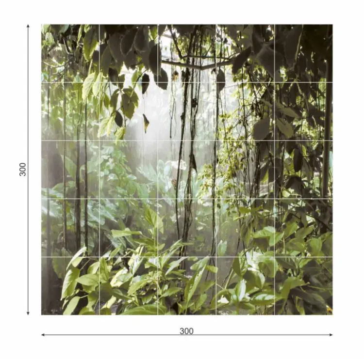 RAIN-FOREST-wym-300x300-1-768x759.webp
