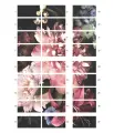 REMBRANT-flowers-180x270-numery-768x887.webp