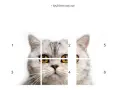 KOT_180x120-_6elem-numery-768x581.webp