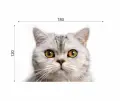 KOT_180x120-_6elem-768x649.webp