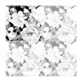 ROSE-BLACK-wiz-raport-768x768.webp