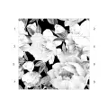 ROSE-BLACK-wiz-nr-768x768.webp
