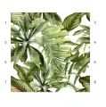 Dominikana-numeracja-768x771.webp
