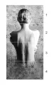 Bella-1.webp