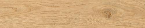 mossa-beige-11x60-rf-1-1.jpg