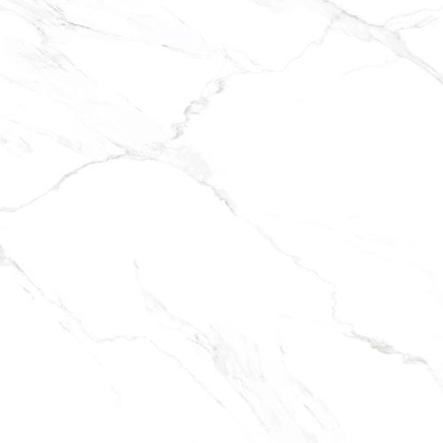 h6161h6161.jpg