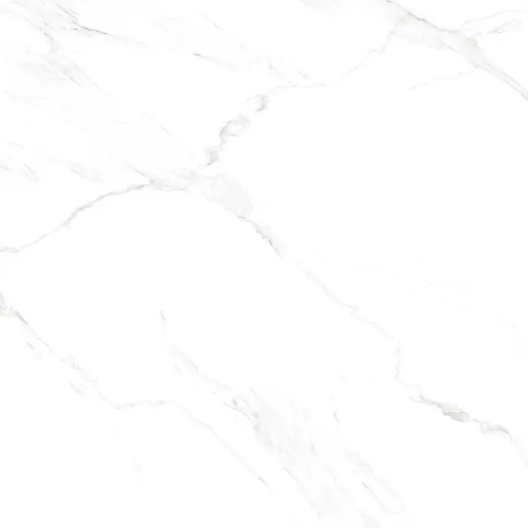 h6161h6161.jpg