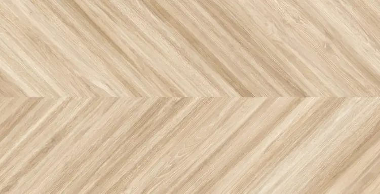 h6688h6688.jpg
