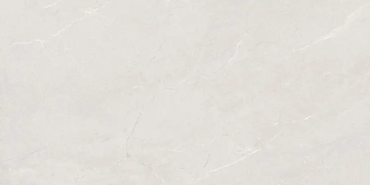 TERRA BLANCO 60x120 LAPPATO.jpg
